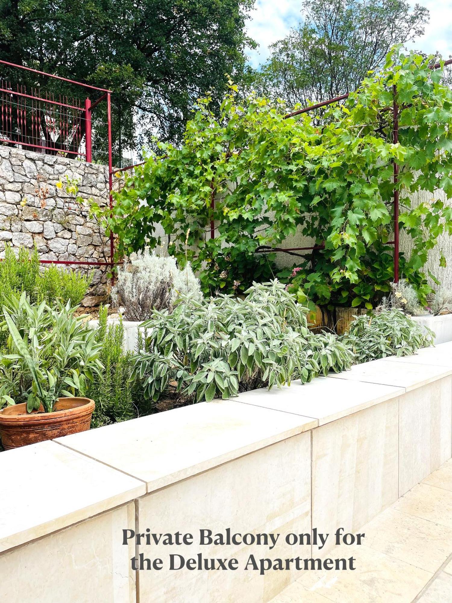 Anmarie Apartments تْسْغيكفانِتْسا المظهر الخارجي الصورة
